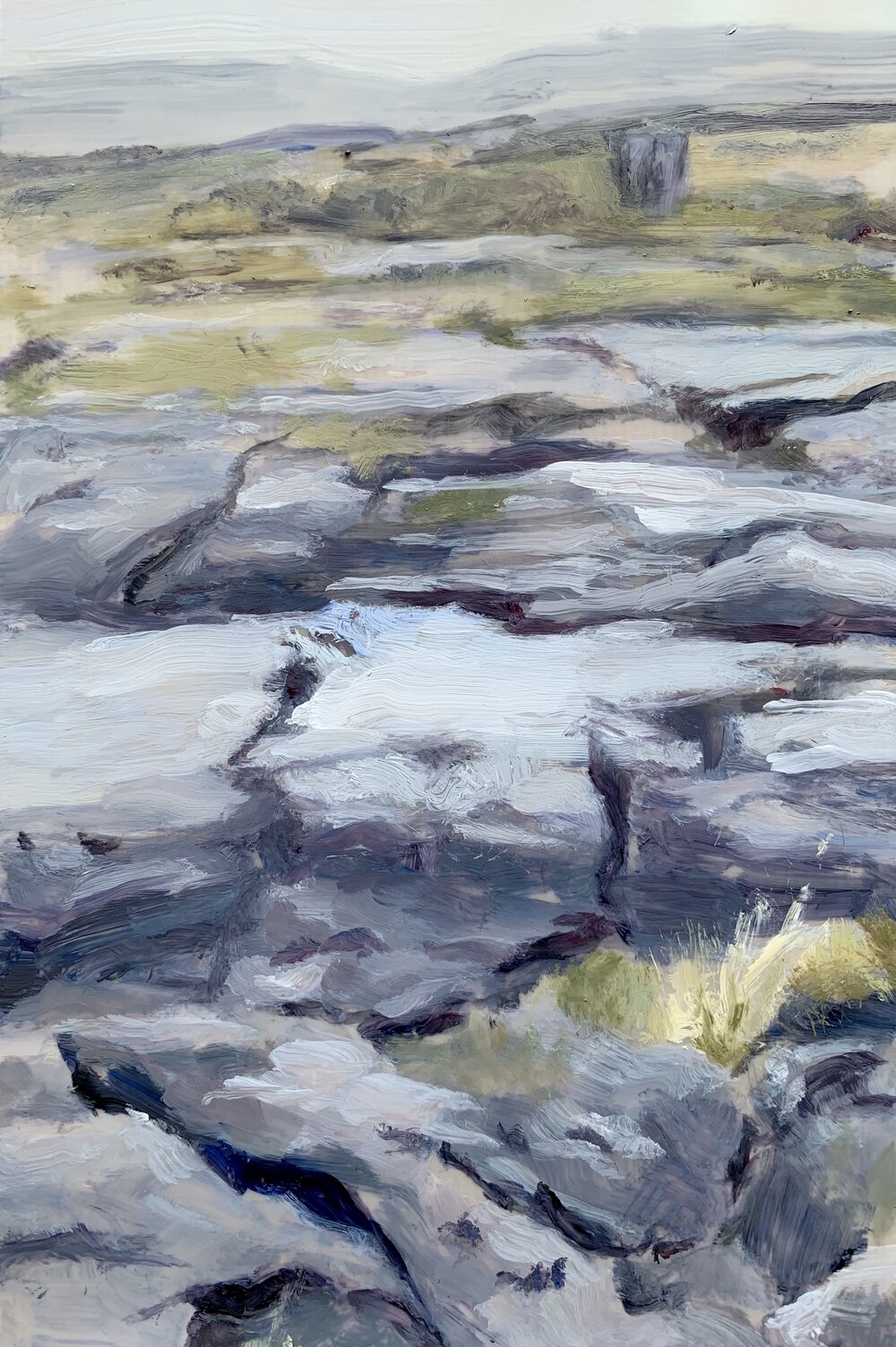   Burren 1 , 2020 oil on dura-lar, 8 x 4 in 